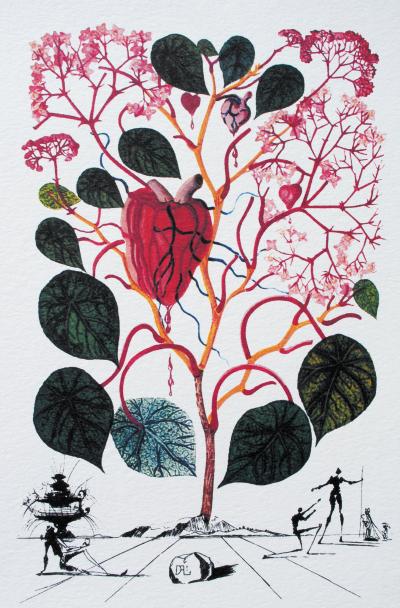 Salvador DALI: The Begonia, 1979, Signed lithograph 2