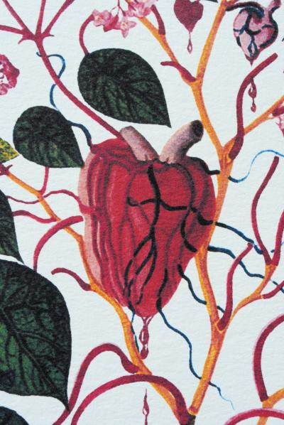 Salvador DALI: The Begonia, 1979, Signed lithograph 2