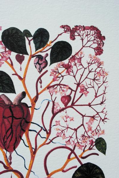 Salvador DALI: The Begonia, 1979, Signed lithograph 2