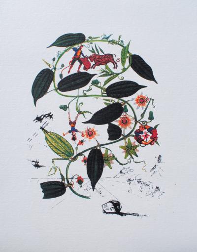 Salvador DALI : Passiflore, 1979, Lithographie signée 2