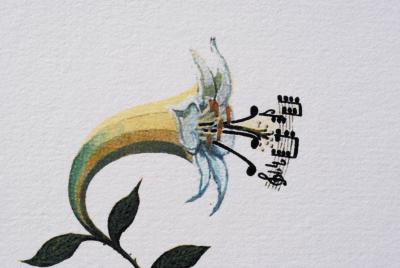 Salvador DALI (d’après) : Le Lys Musical, 1979 - Lithographie 2