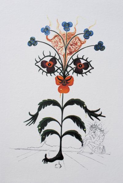 Salvador DALI (d’après) : Pensée, 1979 - Lithographie signée, édition limitée 2