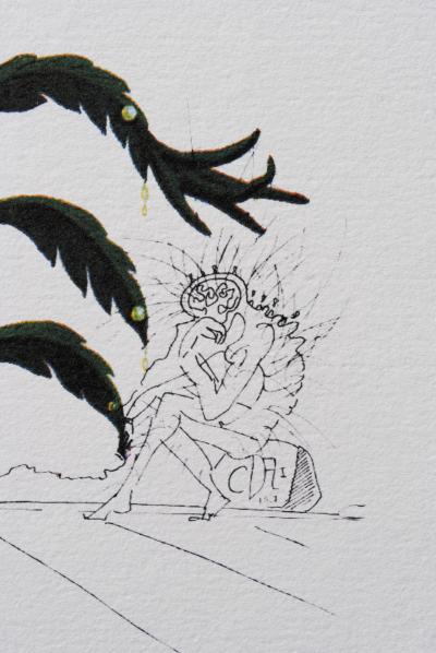 Salvador DALI (d’après) : Pensée, 1979 - Lithographie signée, édition limitée 2