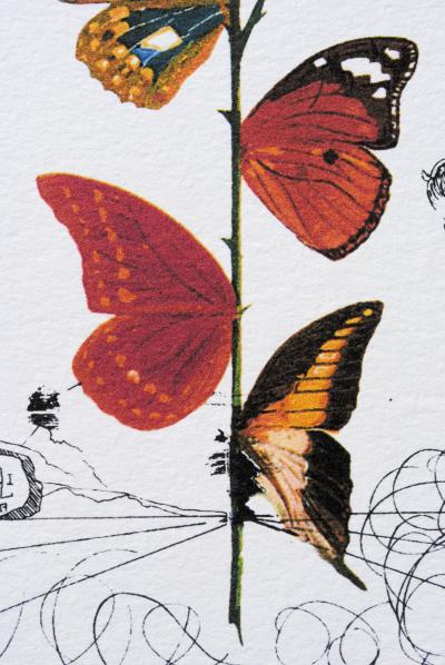 Salvador DALI (d’après) : Flordali -  La rose papillon, 1979 - Lithographie 2