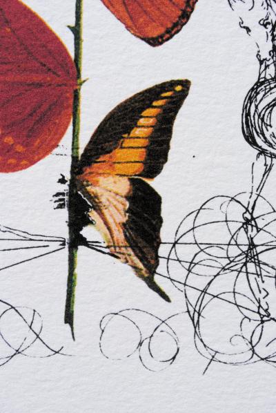 Salvador DALI (d’après) : Flordali -  La rose papillon, 1979 - Lithographie 2