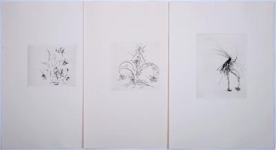 Salvador DALI - Faust, 1969 - Set of 3 original etchings 2