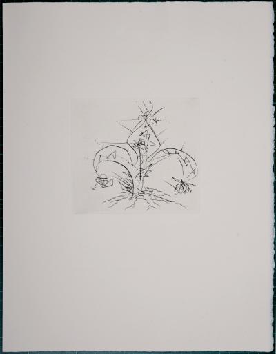 Salvador DALI - Faust, 1969 - Set of 3 original etchings 2