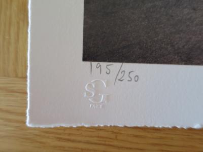 JR - JR au Louvre, 29 Mars 2019, Paris, France (18h08) - Lithographie signée au crayon 2