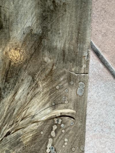 Bernard LOCCA - Cheval - Acrylique sur carton 2