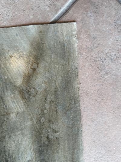 Bernard LOCCA - Cheval - Acrylique sur carton 4