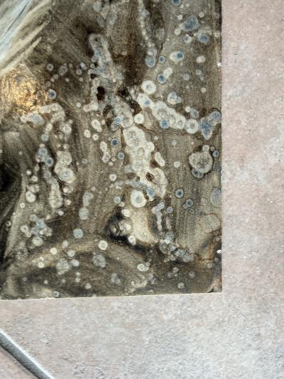 Bernard LOCCA - Cheval - Acrylique sur carton 5