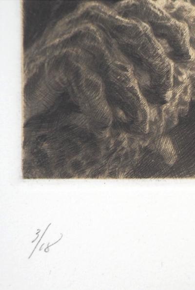 Jean Michel MATHIEUX-MARIE: Regard bestial - Gravure originale signée au crayon 2