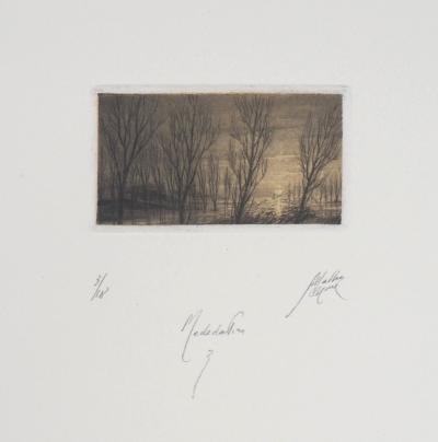 Jean Michel MATHIEUX-MARIE: Lac au crépuscule - Gravure originale signée au crayon 2