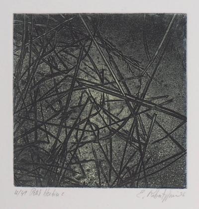 Eric ROBERT-AYME : Herbiers éclatées, 1996 - Gravure originale signée 2