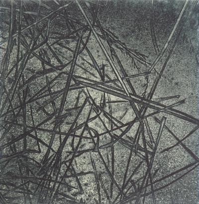 Eric ROBERT-AYME : Herbiers éclatées, 1996 - Gravure originale signée 2