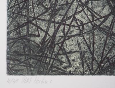 Eric ROBERT-AYME : Herbiers éclatées, 1996 - Gravure originale signée 2