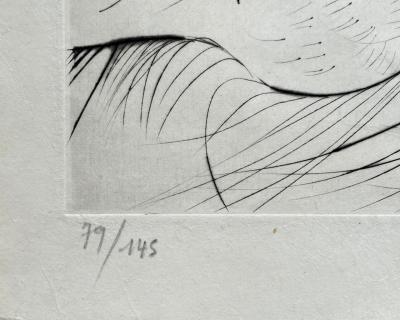 Salvador DALI - Les Aigrettes, 1968 - Incisione originale firmata a matita e numerata 2