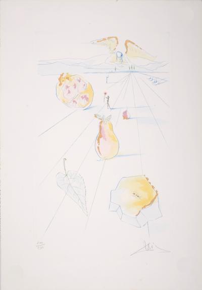 Salvador DALI - Cantique des Cantiques: Les Fruits de la vallée, 1971 - Gravure originale signée à la main 2