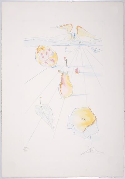 Salvador DALI - Cantique des Cantiques: Les Fruits de la vallée, 1971 - Gravure originale signée à la main 2