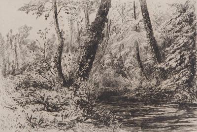 Carel Nicolaas Storm van’ s GRAVESANDE : Souvenir de cressonnières à Veules-en-Caux - Gravure originale signée 2