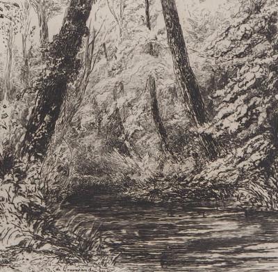Carel Nicolaas Storm van’ s GRAVESANDE : Souvenir de cressonnières à Veules-en-Caux - Gravure originale signée 2