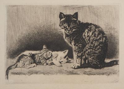 Alberto Maso GILLI : Mère chat et ses chatons, 1876 - Gravure originale signée