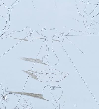 Salvador DALI - Visage surréaliste, 1972  - Gravure originale signée numérotée 2