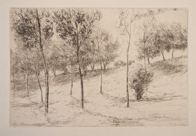 Jacques BOURDELEY : Le chemin montant à Grisy, 1902 - Gravure originale signée 2
