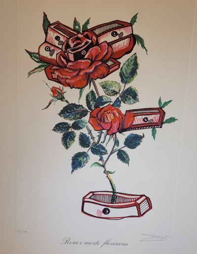 Salvador DALI - Rosa e morte floriscens, 1972 - Héliogravure signée 2
