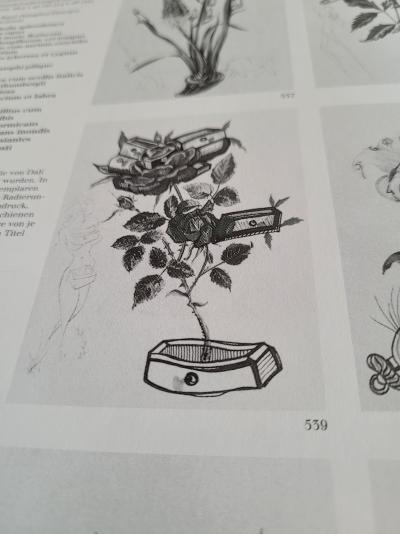 Salvador DALI - Rosa e morte floriscens, 1972 - Héliogravure signée 2