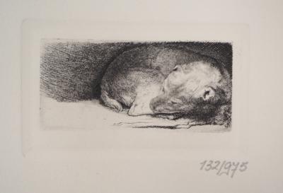 REMBRANDT (after): Le Petit chien endormi, 1640 - Numbered engraving 2