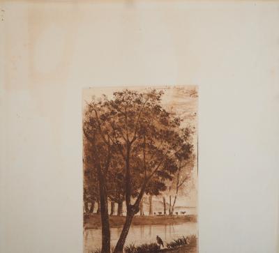 Auguste DELATRE : Les Marais, 1850 - Gravure originale signée 2