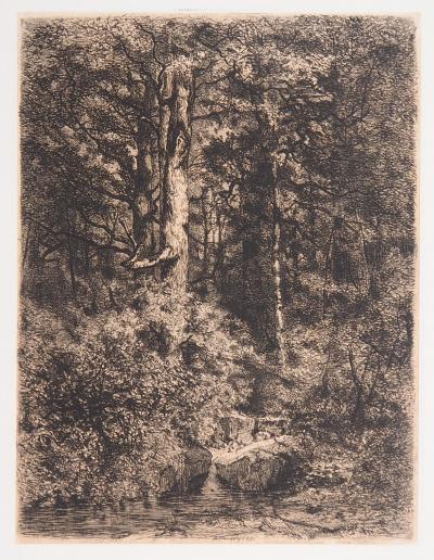 Alfred-Alexandre DELAUNEY : L’Etang à l’orée d’un bois, 1871 - Gravure originale signée 2