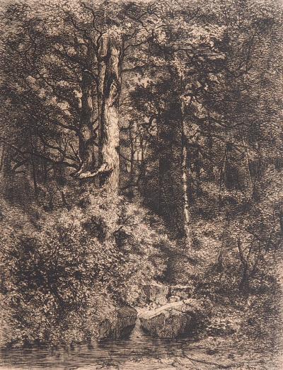 Alfred-Alexandre DELAUNEY : L’Etang à l’orée d’un bois, 1871 - Gravure originale signée 2