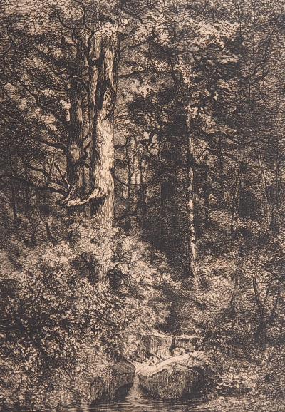 Alfred-Alexandre DELAUNEY : L’Etang à l’orée d’un bois, 1871 - Gravure originale signée 2