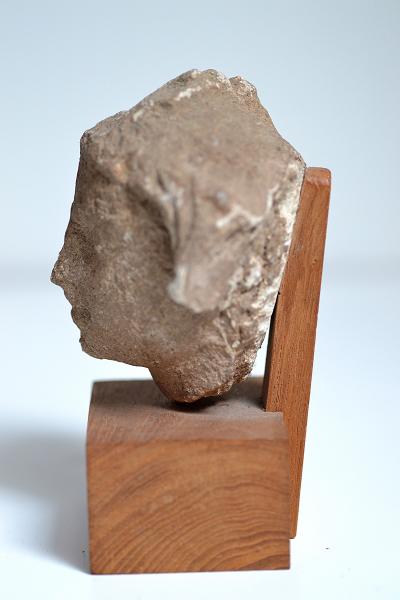 Afghanistan - Art du Gandhara - Tête de prince en stuc 2