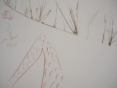 Salvador DALI : Tristan assoupi - Gravure Originale Signée 2