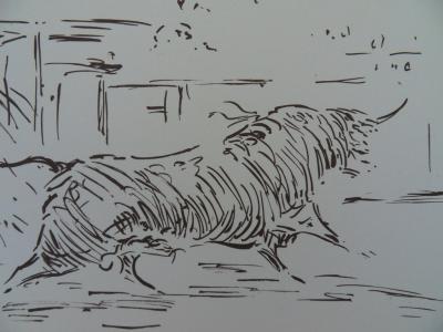 José de ZAMORA : Le taureau - Lithographie signée au crayon et numérotée 2