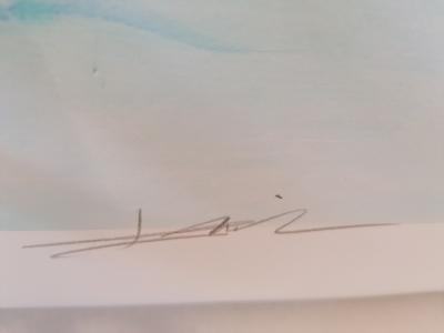 Bilal - Vertébrati couple I - Numbered and signed pigment print 2