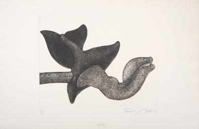 François BEALU : Dionée - Gravure originale signée 2