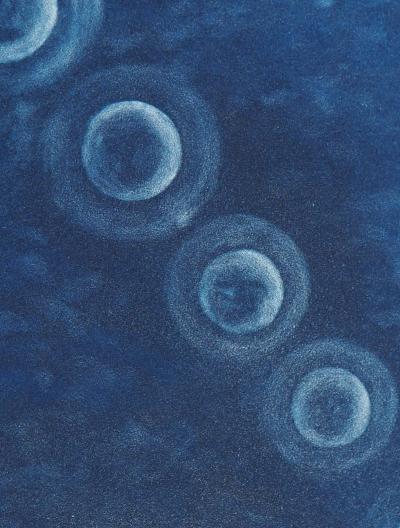 Teresa PANASIUK : La lune - Gravure originale signée 2
