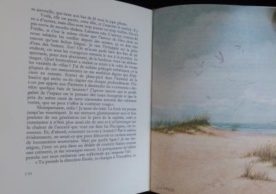 Hervé BAZIN - Vipère au poing, 1986 2