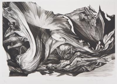 Jean Marc REYMOND : Fantasme mycologique, 1989 - Gravure originale signée 2