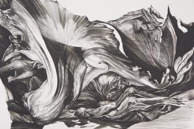 Jean Marc REYMOND : Fantasme mycologique, 1989 - Gravure originale signée 2