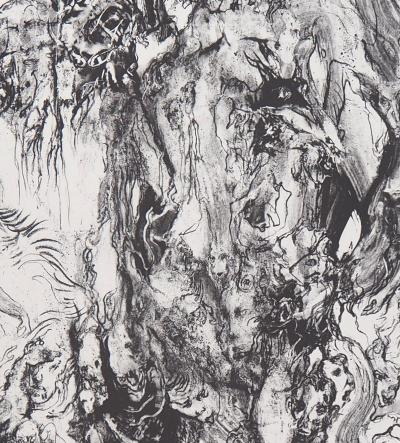 Charley CASE : Very Strange Fruits, Hallugraphies, 2005 - Lithographie originale signée 2