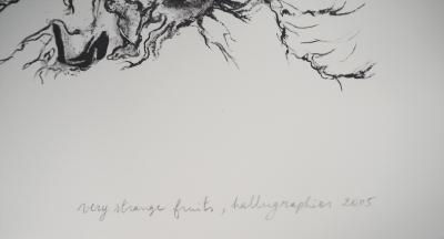 Charley CASE : Very Strange Fruits, Hallugraphies, 2005 - Lithographie originale signée 2