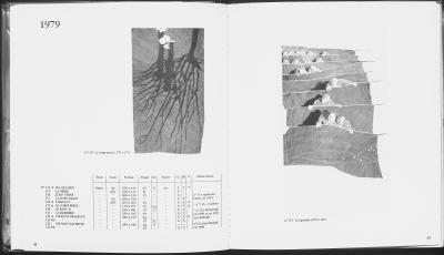 Louis-René BERGE - La herse, 1979  - Gravure signée au crayon et justifiée 2