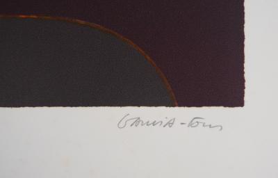 Pierre GARCIA-FONS : Les fruits de la géométrie - Lithographie originale signée 2
