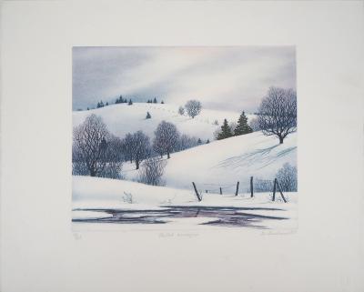 Darrell DUCHENE - Vallée enneigée, 1981 - Gravure originale signée 2