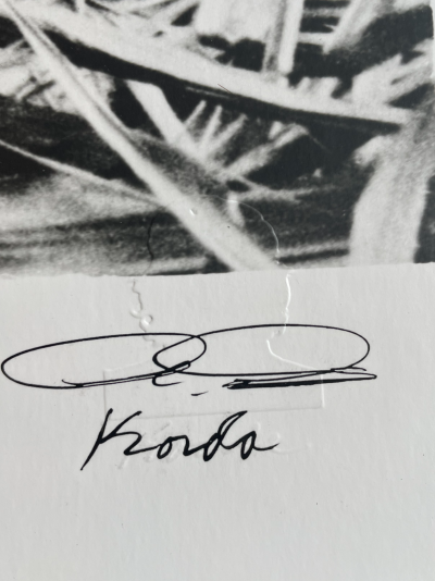 Alberto KORDA - Fidel Castro dans un champ de cannes à sucre - Photographie 2